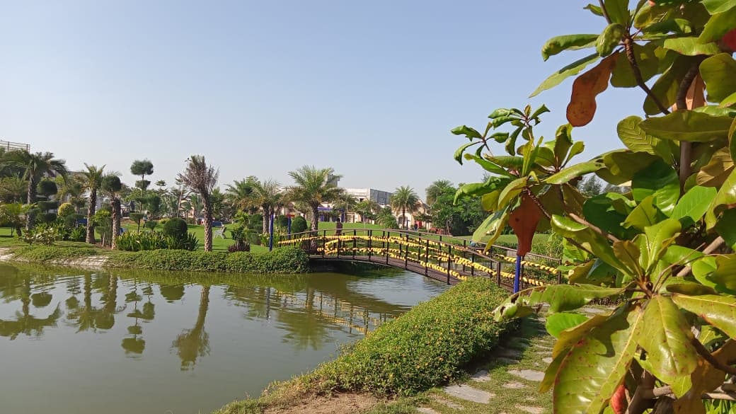 Serene Duck Lake Garden