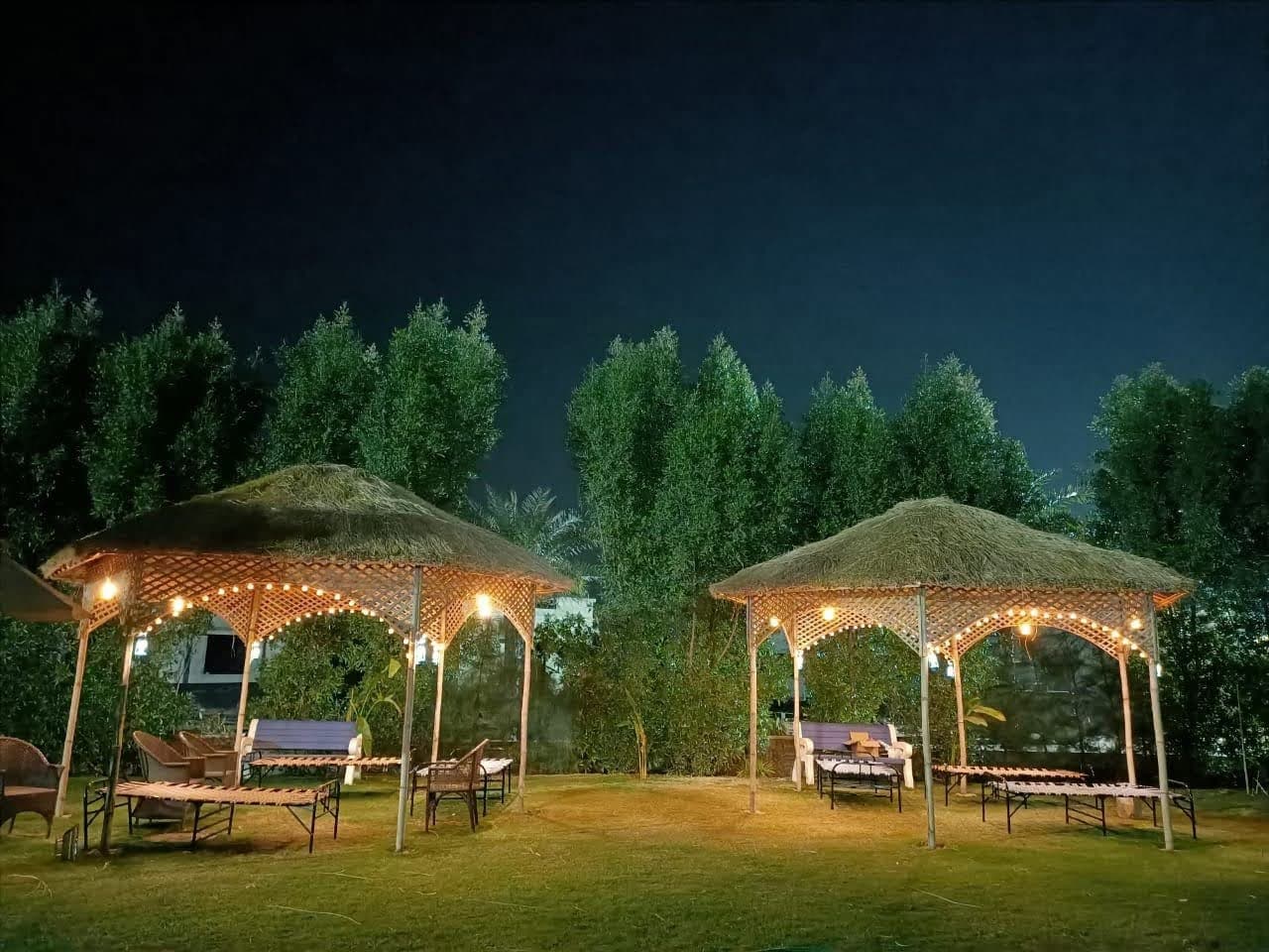 Evening dinner gathering