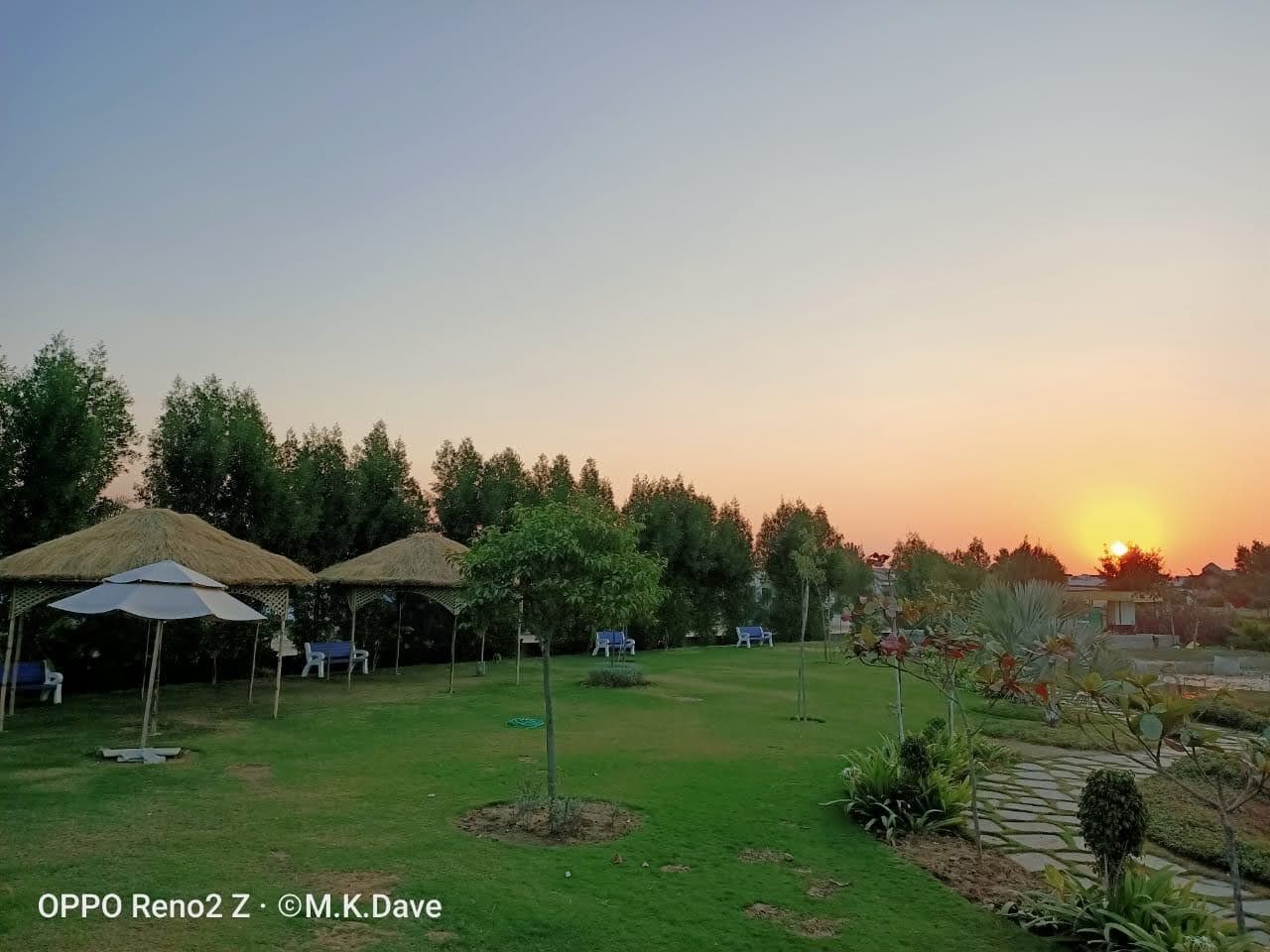 Peaceful park surroundings